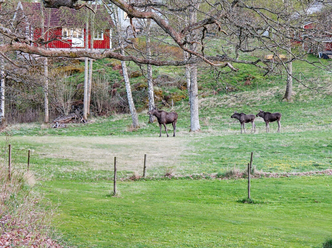 Others 5, Holiday Home in Askeröarna, Stenungsund