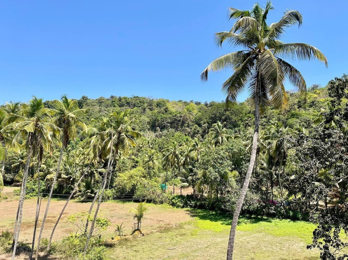 Others 5, Palm Paradise Resort, North Goa