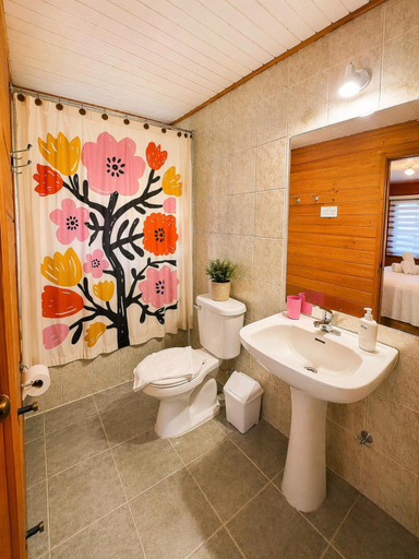 Bathroom 3, Hotel El Coihue, Cautín