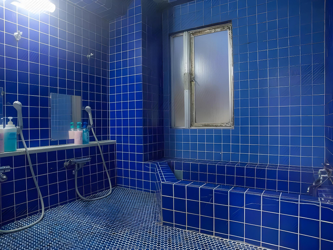 Bathroom 4, Mizusawa Green Hotel, Ōshū