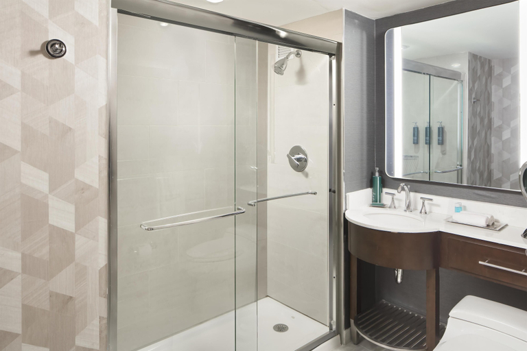 Bathroom 5, Washington Hilton, Washington D.C.