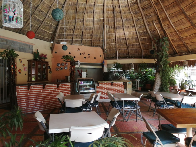 Food & Drinks 5, Hotel Vallartasol, Puerto Vallarta