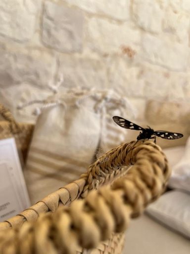 Facilities 5, Masseria Morrone, Brindisi