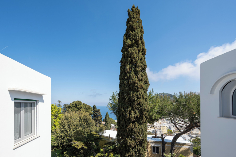 Property grounds 3, Casa dei Sogni - nel Cuore di Capri, Napoli