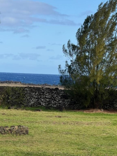 Miscellaneous, Vaihu Nui, ísla de Pascua