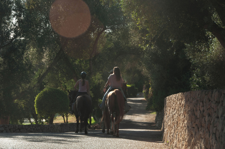 Others 5, Agroturismo es Mayolet, Baleares