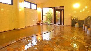 Hot spring bath 5, Hotel Hana Isawa, Fuefuki