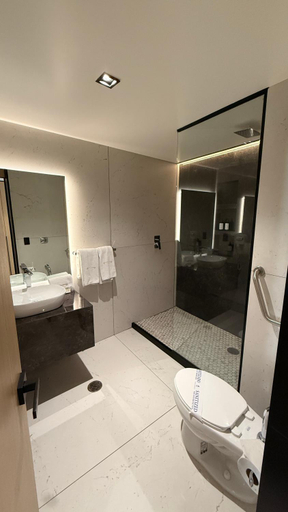 Bathroom 4, Hotel Lepanto Reforma, Mexico City