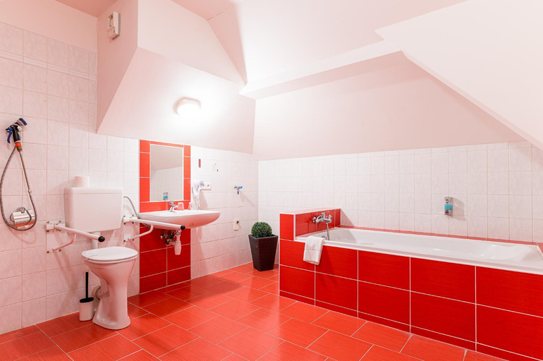 Bathroom 4, Nove Adalbertinum, Hradec Králové