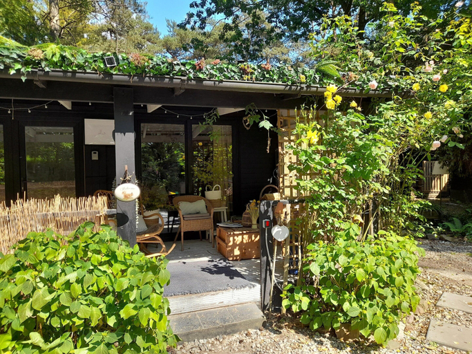 Primary image, Cozy forest house on the purple heath, Antwerpen