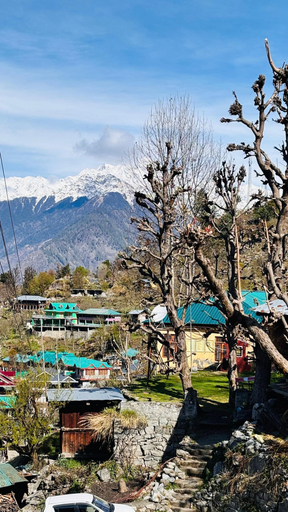 Miscellaneous 4, Dolma homestay by Orko, Kinnaur