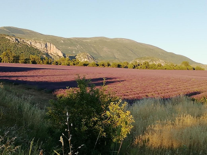 5, les Hotes de Marie, Alpes-de-Haute-Provence