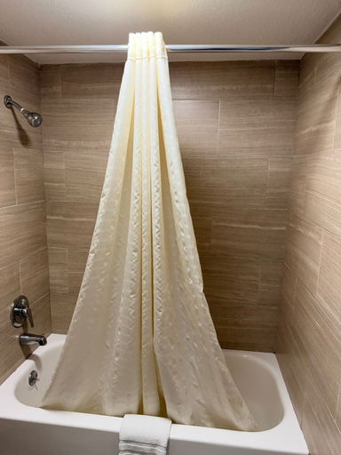 Bathroom 3, Regency Inn And Suites Nashville, Davidson