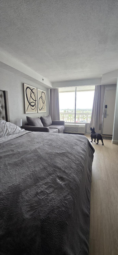 Bedroom 3, Daytona Beach Resort, Volusia