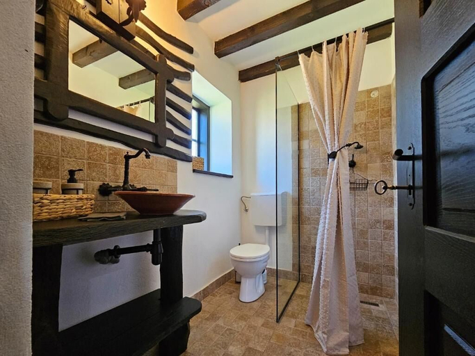 Bathroom 2, CURTEA TARANEASCA, Maldaresti