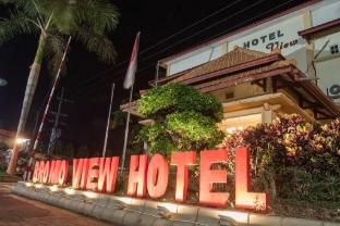 Others 4, Bromo View Hotel, Probolinggo