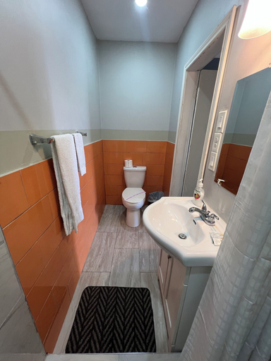 Bathroom 5, Tulip Motel, Oxford