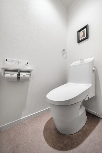 Bathroom 3, THE VELVET, Asahikawa