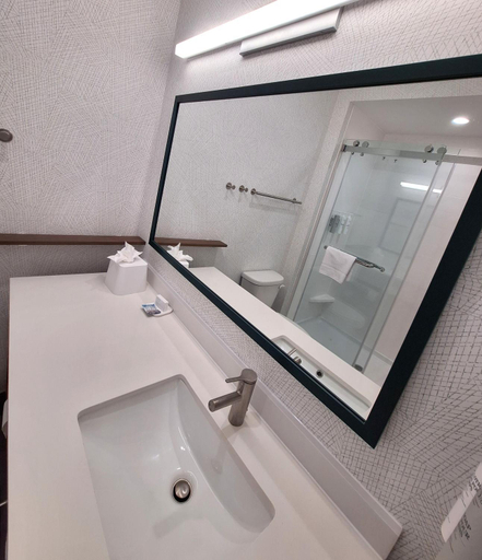 Bathroom 5, Home2 Suites By Hilton Lufkin, Tx, Angelina