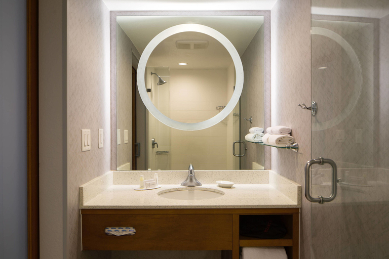 Bathroom 4, SpringHill Suites by Marriott Miami Downtown/Medical Center, Miami-Dade