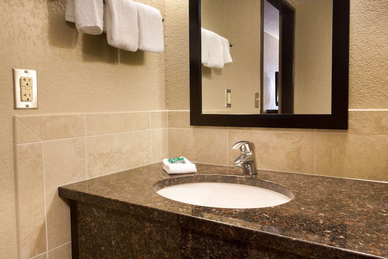 Bathroom 4, Drury Inn & Suites Austin North, Travis