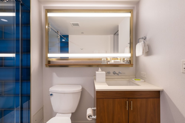 Bathroom 4, Le Meridien Essex Chicago, Cook