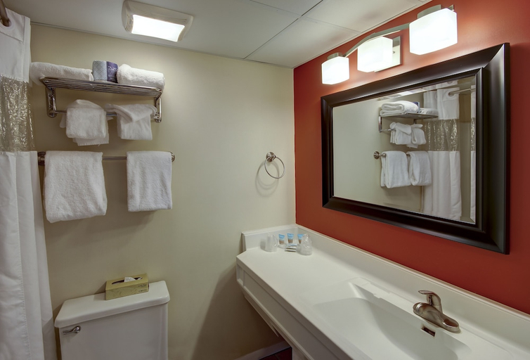 Bathroom 3, Atlantic OceanFront Inn, Worcester