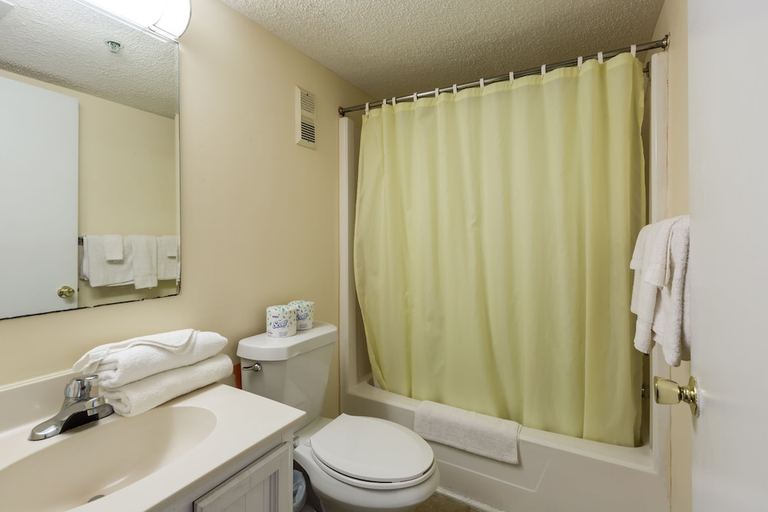 Bathroom 3, Windy Shores II, Horry