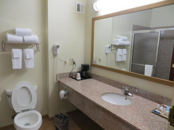 Bathroom, HomeTown Hotel Bryant, Saline