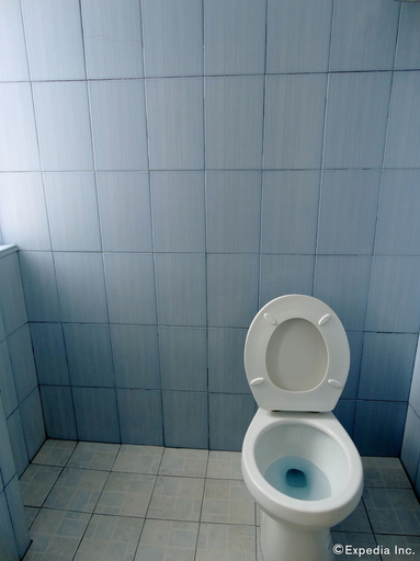 Bathroom, My Hotel, Davao City
