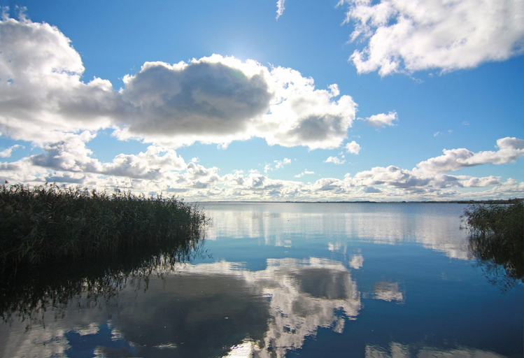 View from property 4, Ferienhaus mit Kamin am Achterwasser in Lutow, Vorpommern-Greifswald