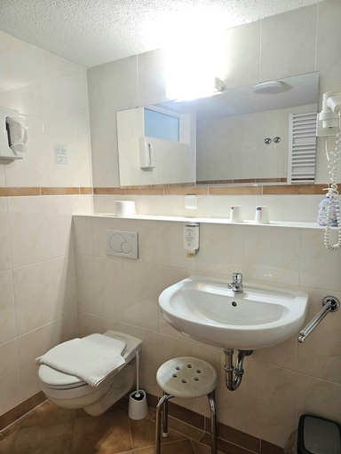 Bathroom 5, Weinhotel des Riesling Zum Grünen Kranz, Rheingau-Taunus-Kreis