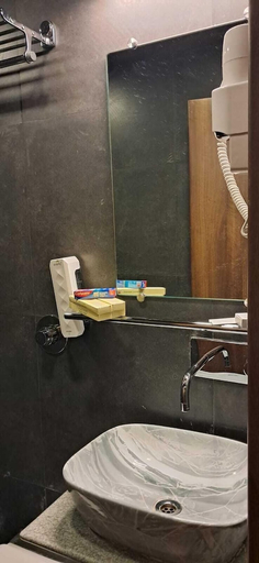 Others 5, Hotel Millennium Park, Satara
