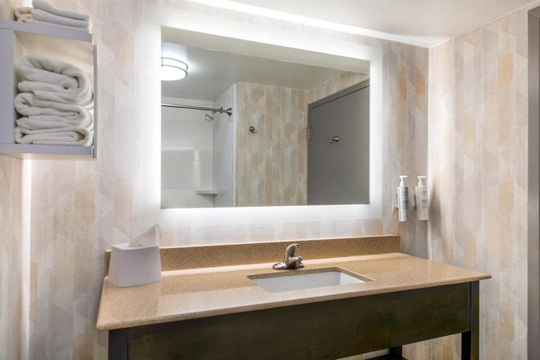 Bathroom 4, Hampton Inn Milledgeville, Baldwin