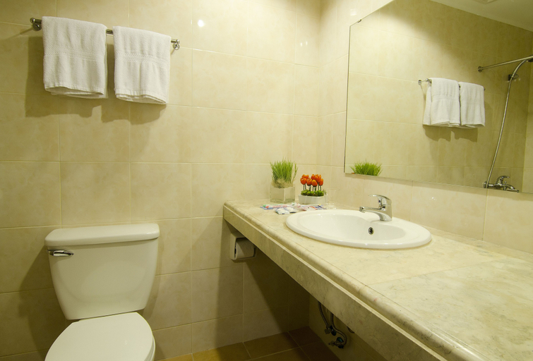 Bathroom 4, Asia Stars Hotel, Tacloban City