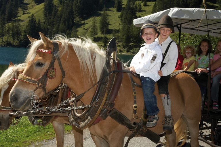 Exterior & Views, Alpina Appartements, Reutte