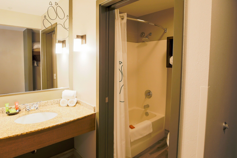 Bathroom 3, Great Wolf Lodge Illinois, Lake
