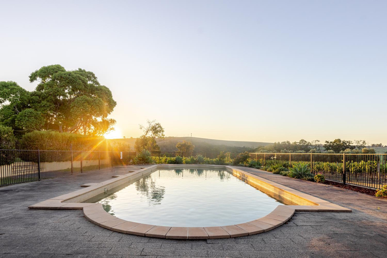 Sport & Beauty 2, Tranquil Vale Vineyard, Maitland