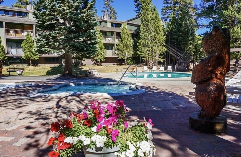 Sport & Beauty 5, St. Anton Wooded View 2-Bedroom Condos w/ fireplace, Mono