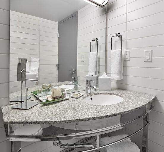 Bathroom 3, Matrix Hotel, Division No. 11