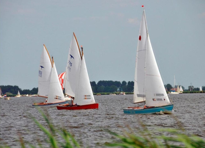 View from property 5, Spacious Holiday Home in the Center of Langweer, Skarsterlân