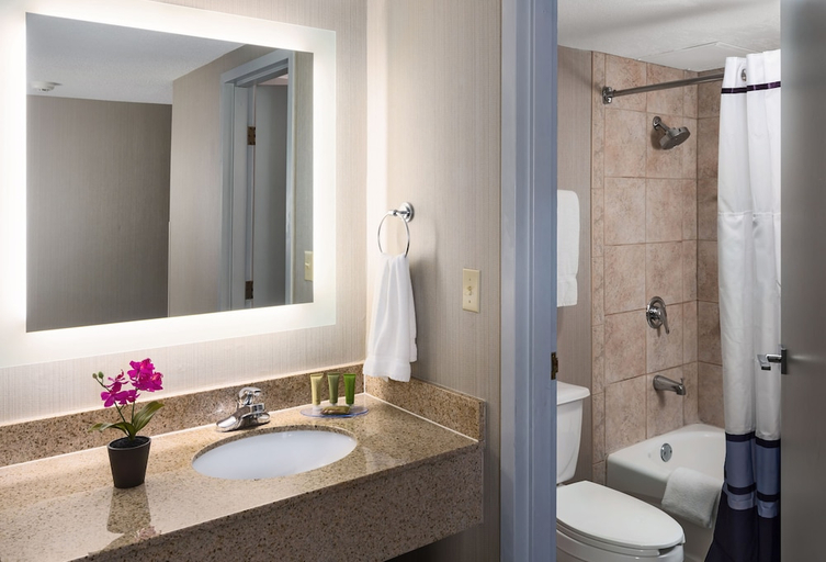 Bathroom 4, Lake Okoboji Resort & Conference Center, Dickinson
