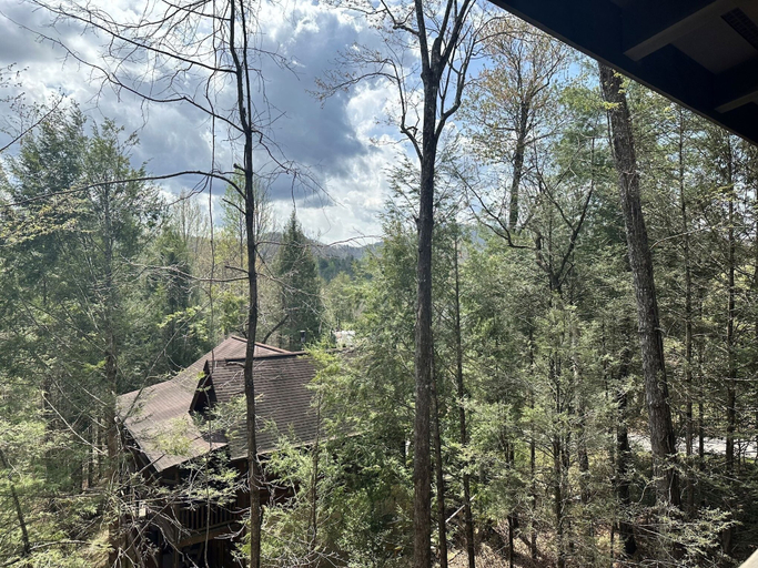 View from property, Mountain Magic 3 Bedroom Cabin, Sevier