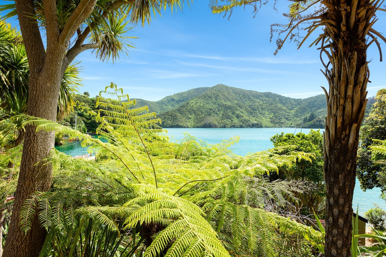 Others 5, Lochmara Lodge, Marlborough
