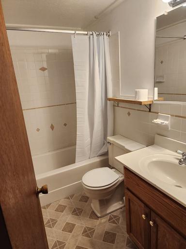 Bathroom 3, Covered Bridge Riverview Lodge, Carroll
