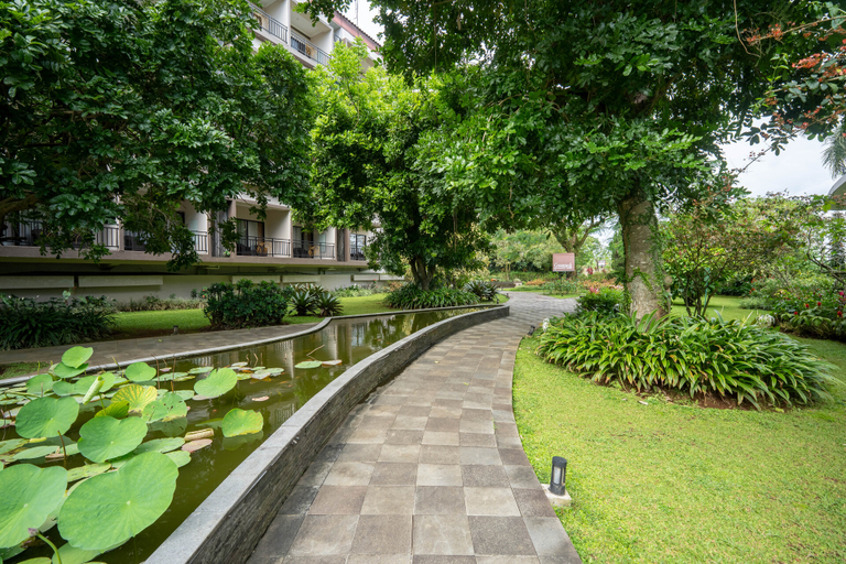 scenery 8