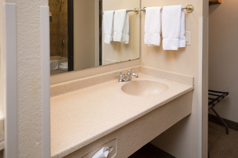 Bathroom 4, Great Wolf Lodge Kansas City, Kansas City