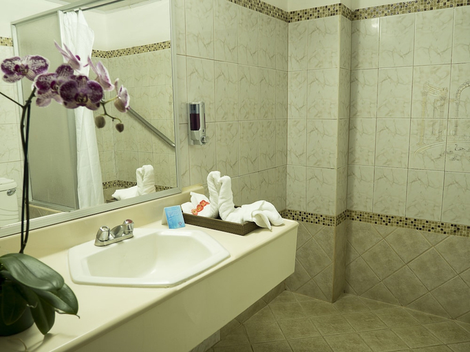 Bathroom 4, Aeropuerto Hotel, Alajuela