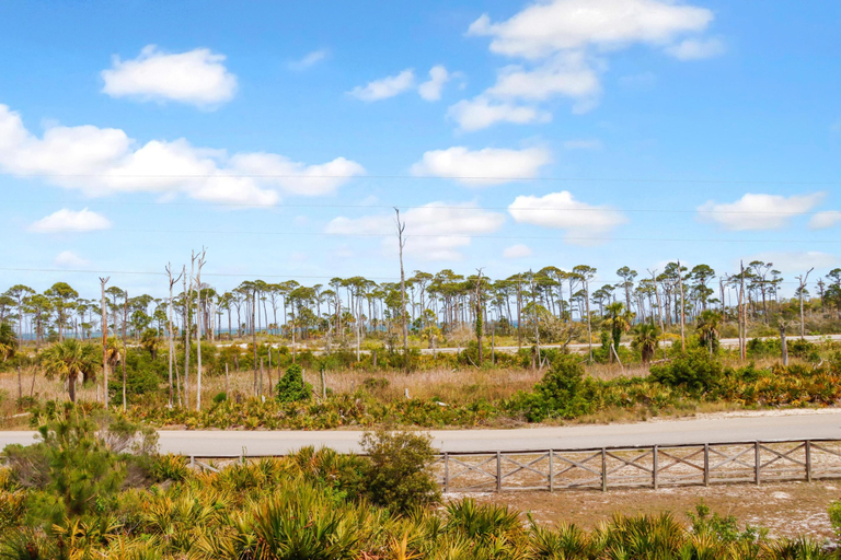 Miscellaneous 3, Barrier Dunes 130 - 152 Millie's Dream, Gulf