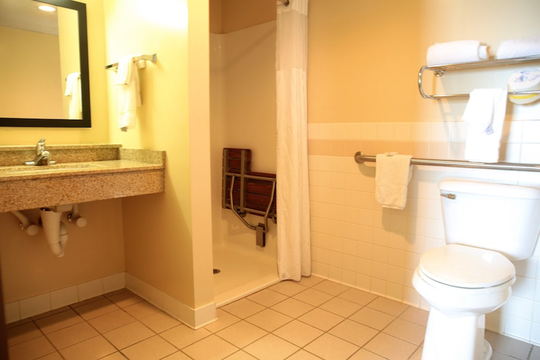 Bathroom 5, American Inn and Suites, Dubuque